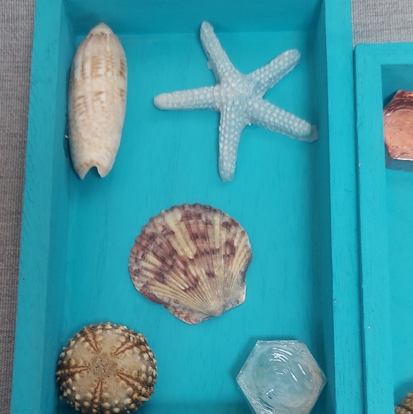 Coastal Seashell Collage Wall Art - Picture 3 of 4